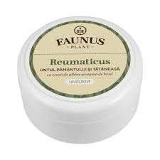 Masť Reumaticus (tamus a kostihoj) 100 ml