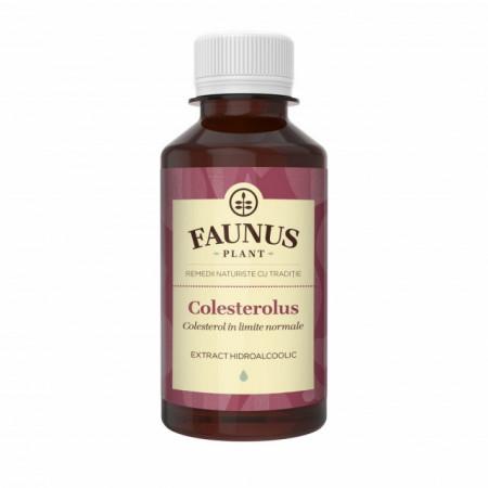 Colesterolus tinktúra proti cholesterolu a na venózny obeh 200ml