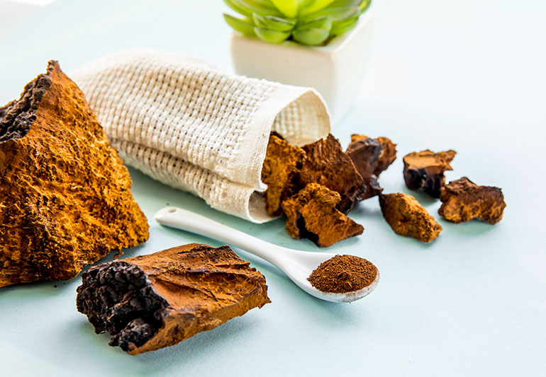 Chaga produkty